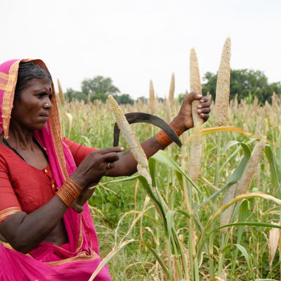 TRUSTED FARM SOURCING